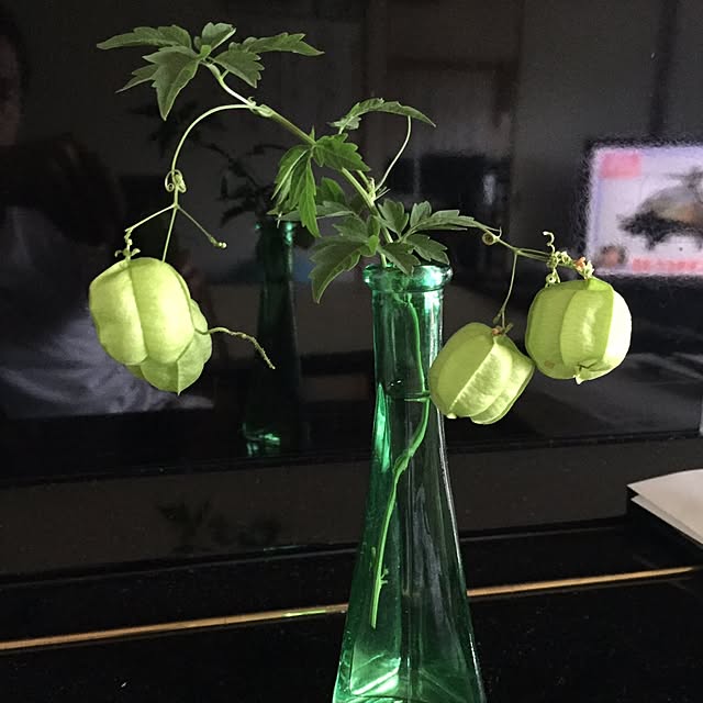 tebasakiさんの実例写真