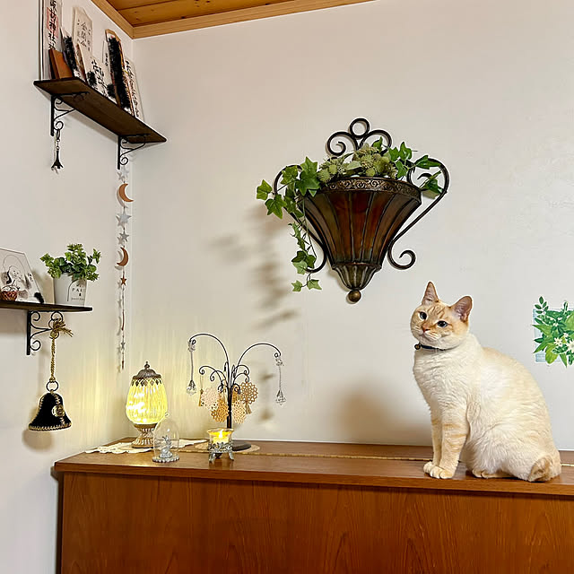 milkさんの実例写真