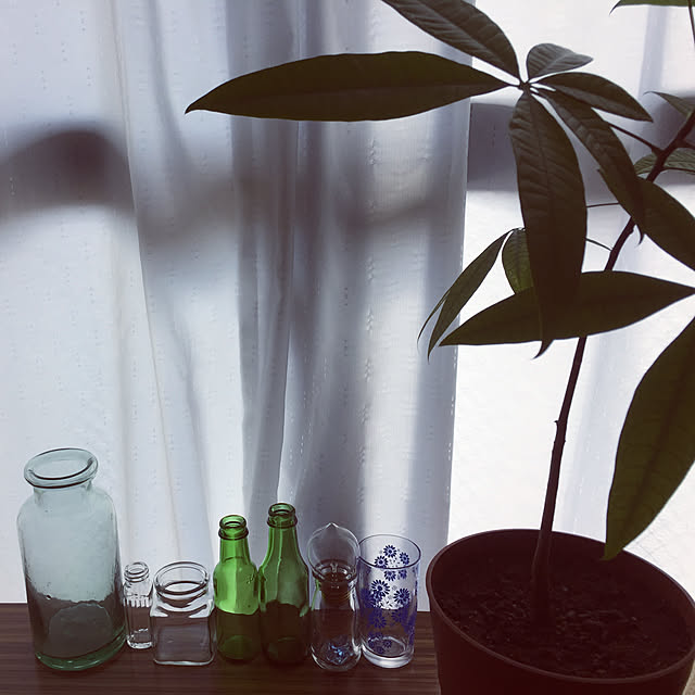 机/観葉植物/ナチュラル/一人暮らし/雑貨のインテリア実例 - 2018-07-01 11:58:57