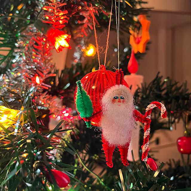 nnfwanicoさんの実例写真