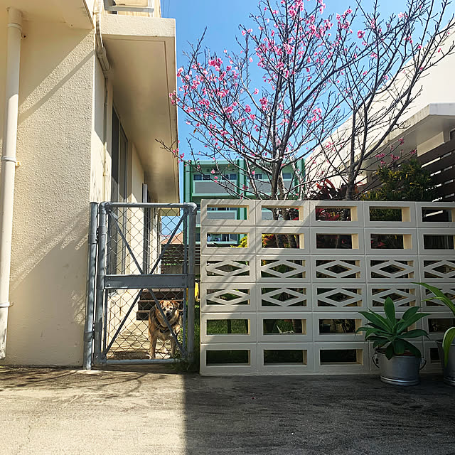 mifuku0112さんの実例写真