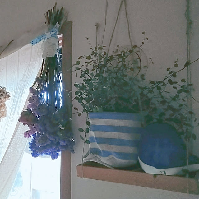 juanzicaiwenさんの実例写真