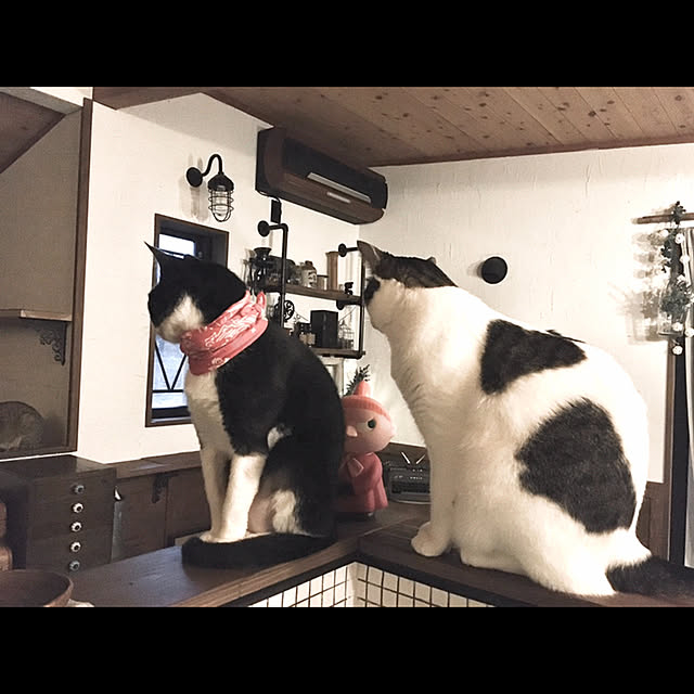 marusanさんの実例写真