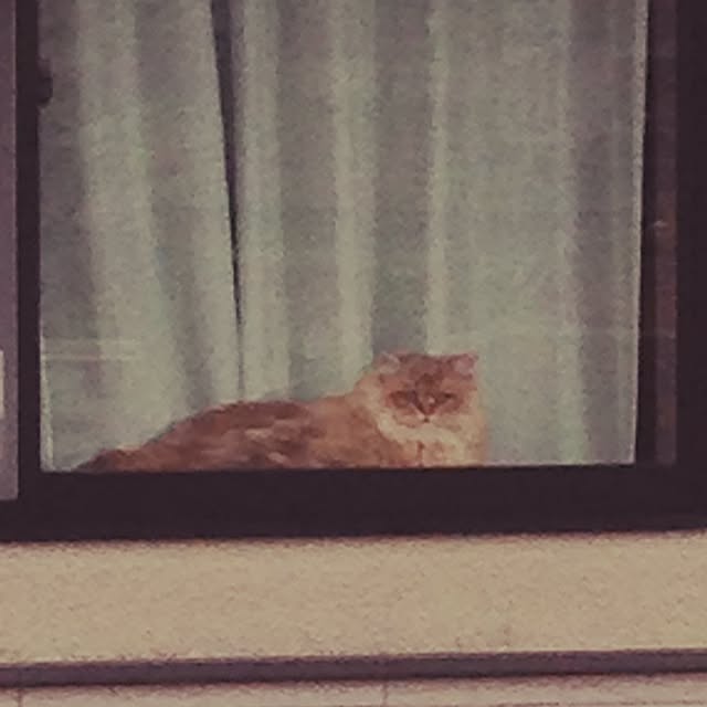 bara2200さんの実例写真