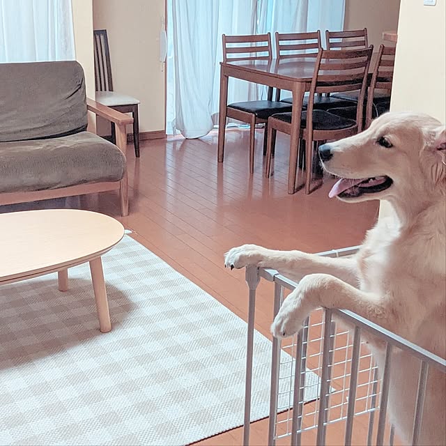 sakiさんの実例写真