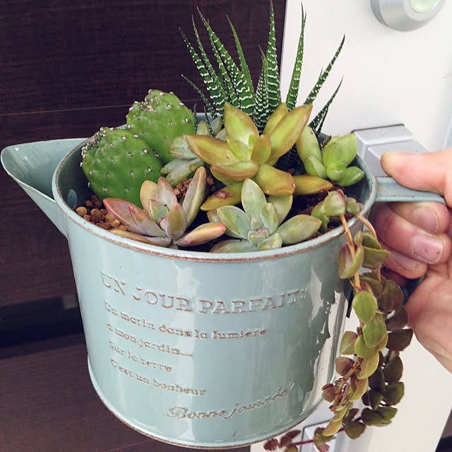 机/多肉植物のインテリア実例 - 2015-12-21 21:21:23