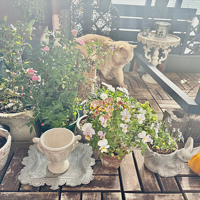 naokoさんの部屋