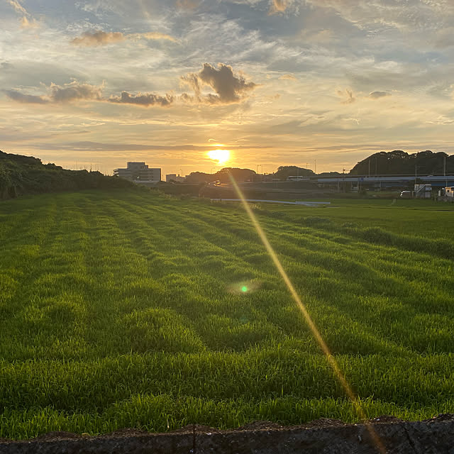 実例写真