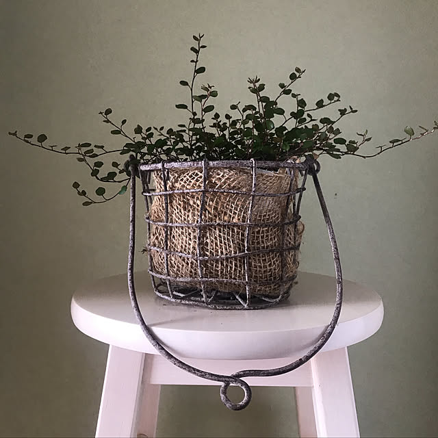 観葉植物/雑貨/アンティーク/レトロ/一人暮らし...などのインテリア実例 - 2020-05-09 23:51:53