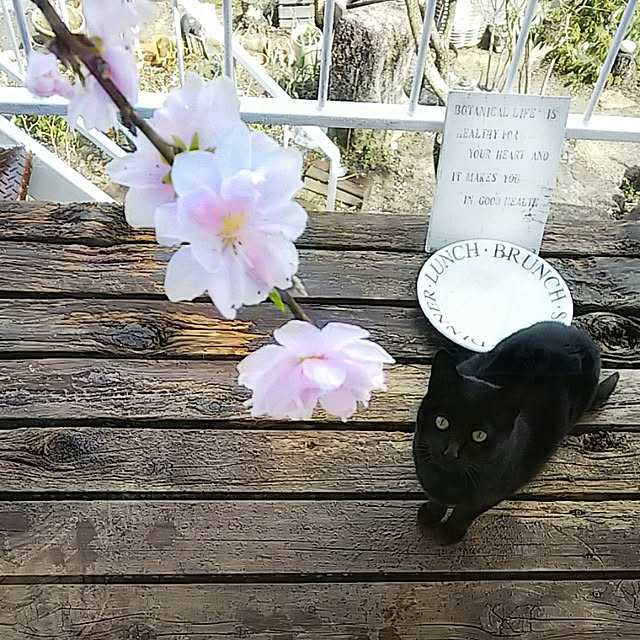 weさんの実例写真