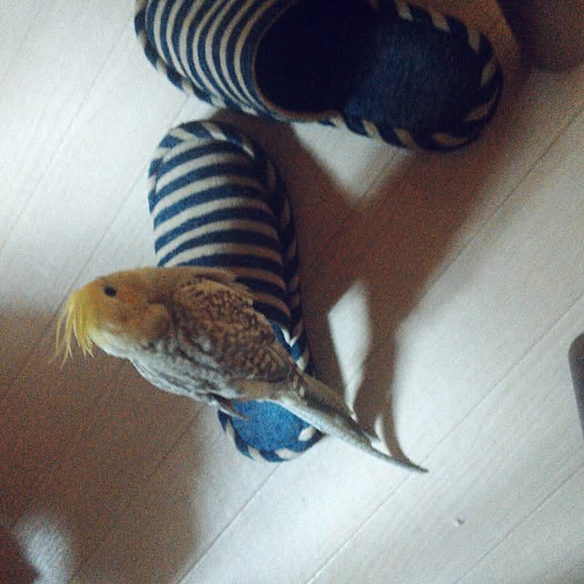 hiroさんの実例写真