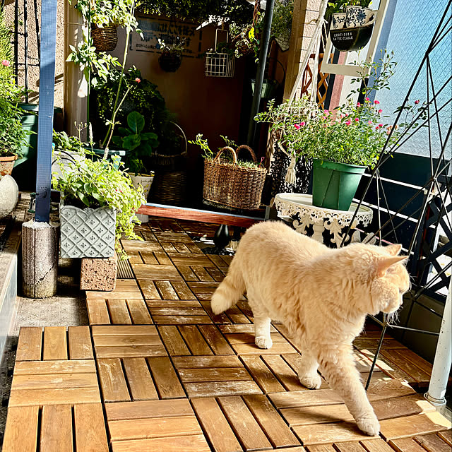 naokoさんの部屋
