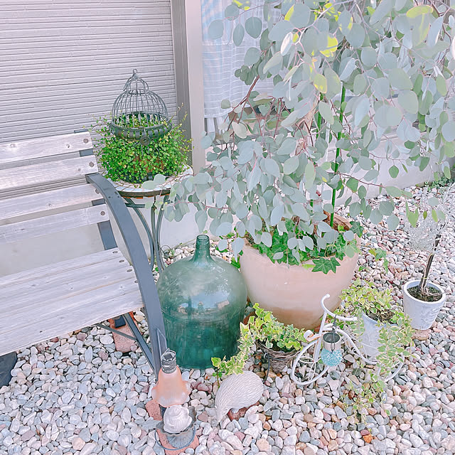 akiko-ovさんの部屋