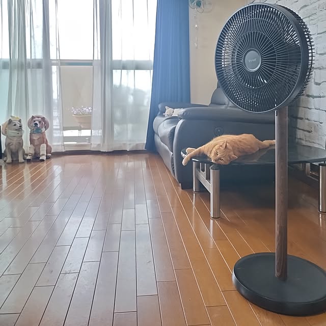NOAHさんの実例写真