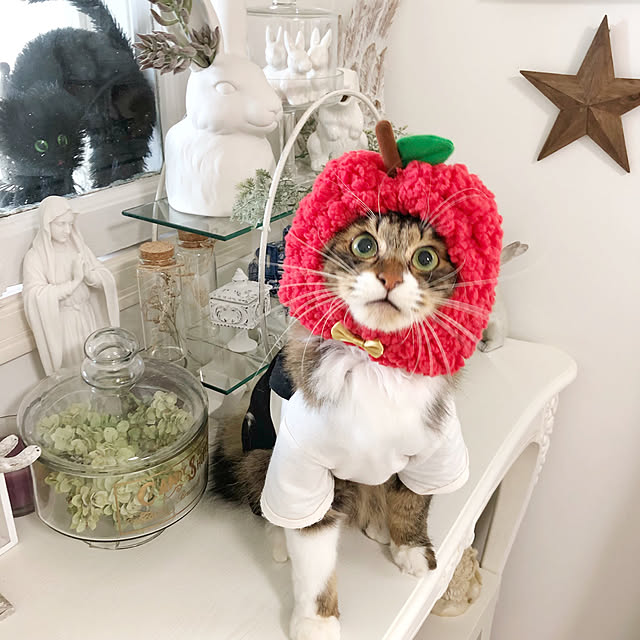 yuchiさんの実例写真