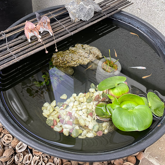 Komekoさんの実例写真