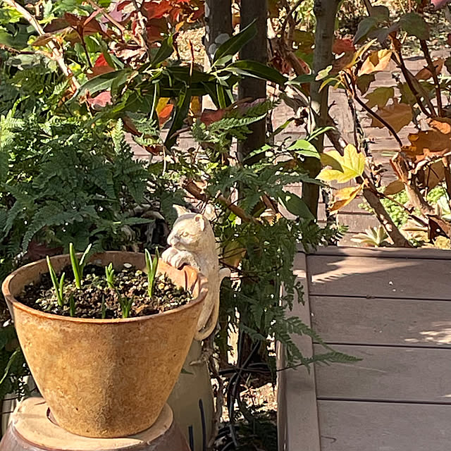 nobikoさんの部屋