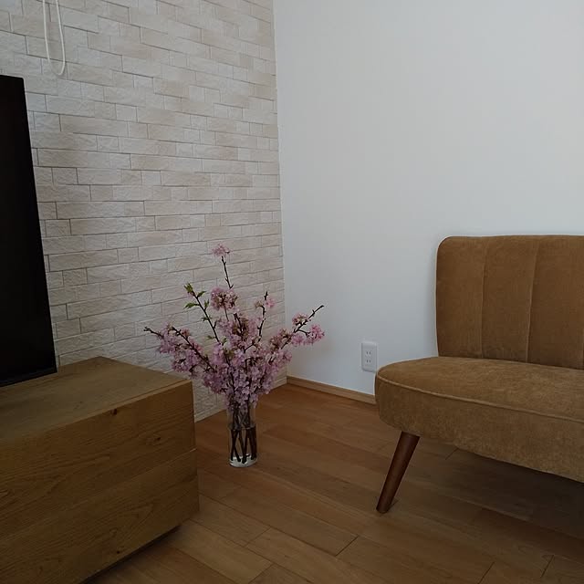 anemone37さんの部屋