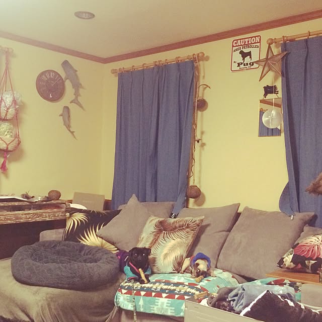 ti-sanさんの実例写真