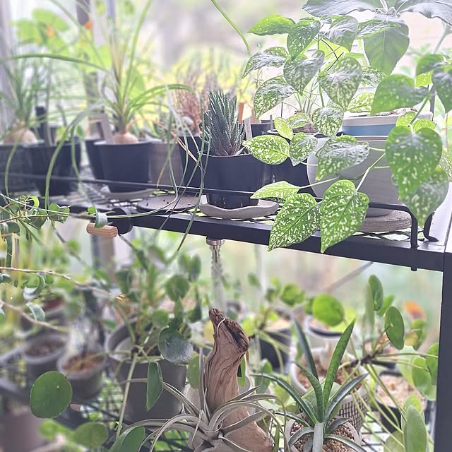 souさんの部屋