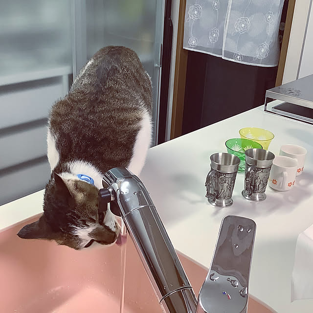 haruminさんの実例写真