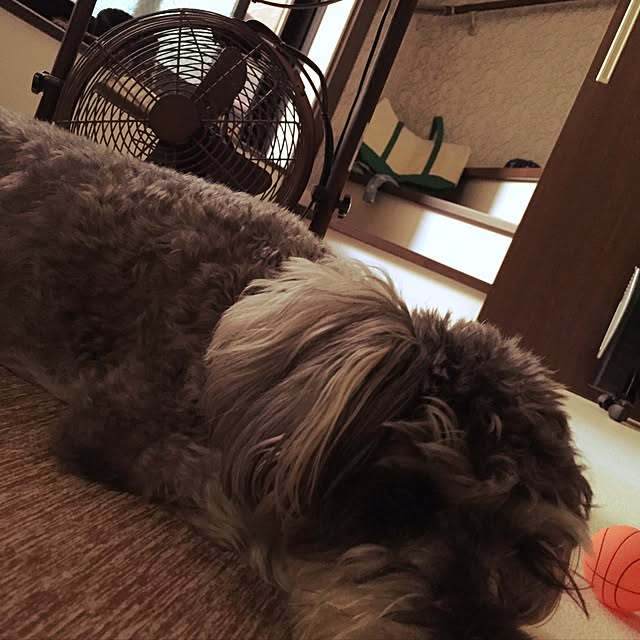 aozakura828さんの実例写真