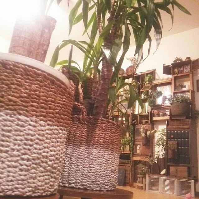 ugさんの実例写真