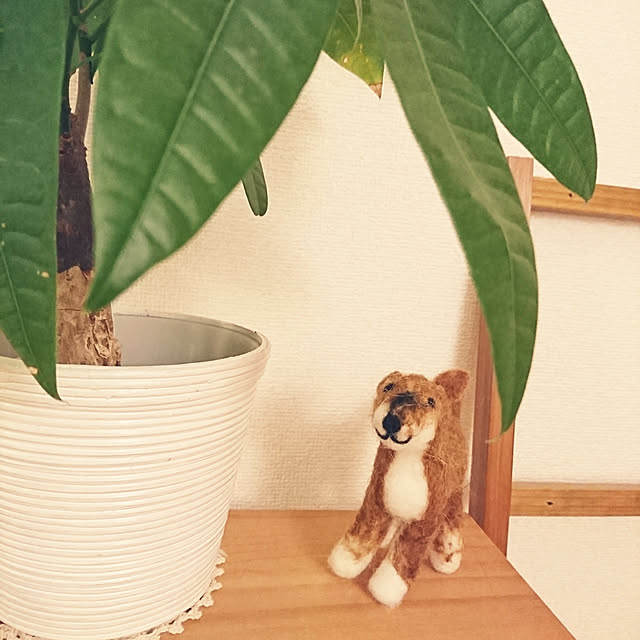 miy1001さんの実例写真