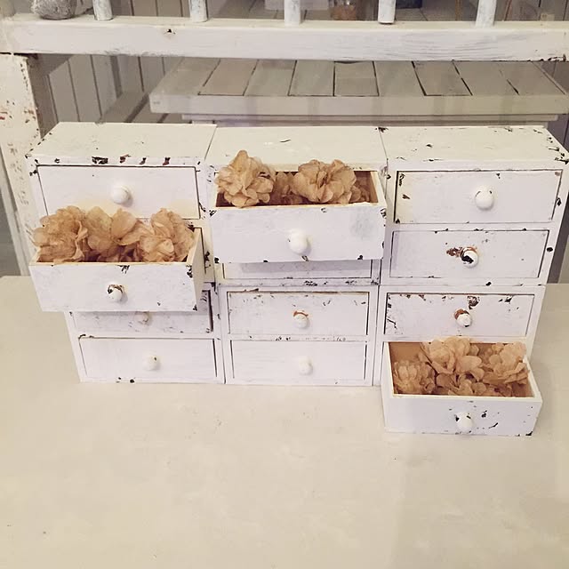 Rinaさんの実例写真