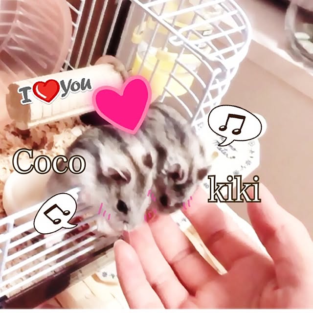 miiiiiiiさんの実例写真