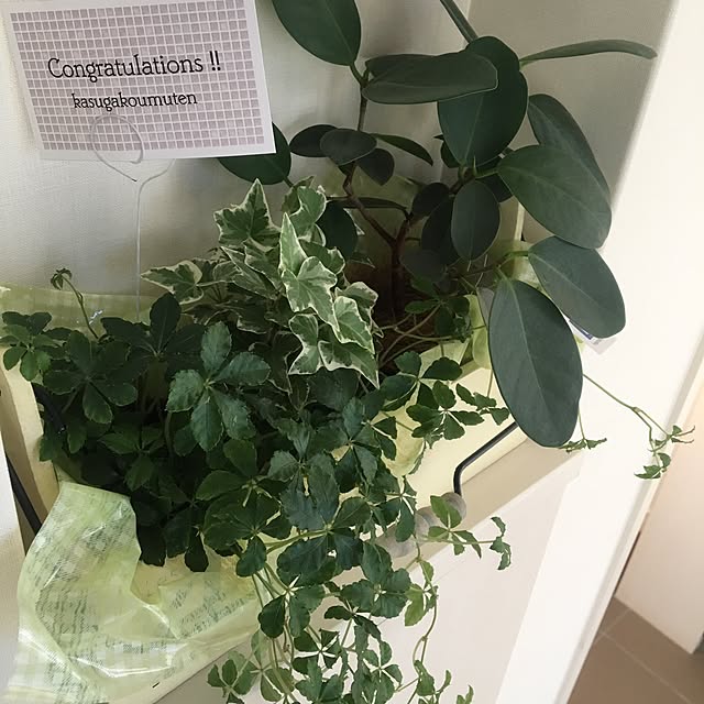 menさんの実例写真