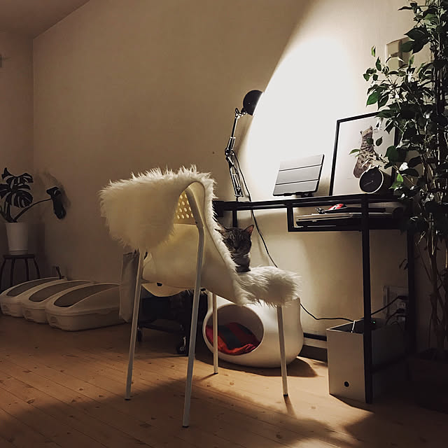 ineko_kさんの実例写真