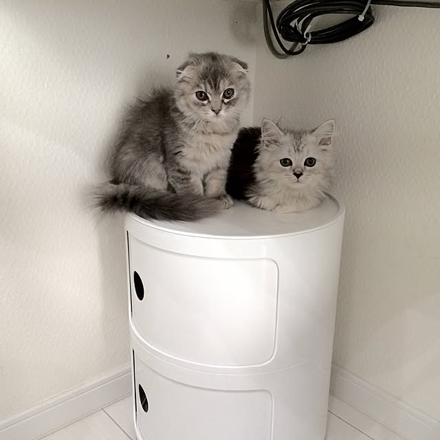 MArukOさんの実例写真