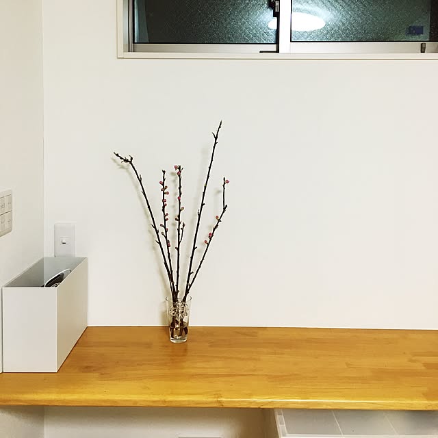 a_achacoさんの実例写真
