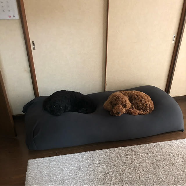 shige.yoshiさんの実例写真