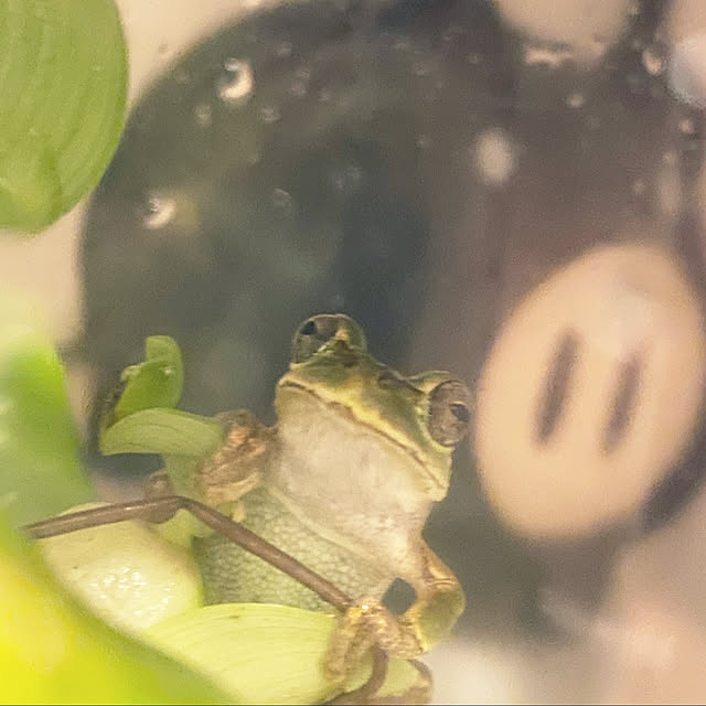 ohanaさんの実例写真
