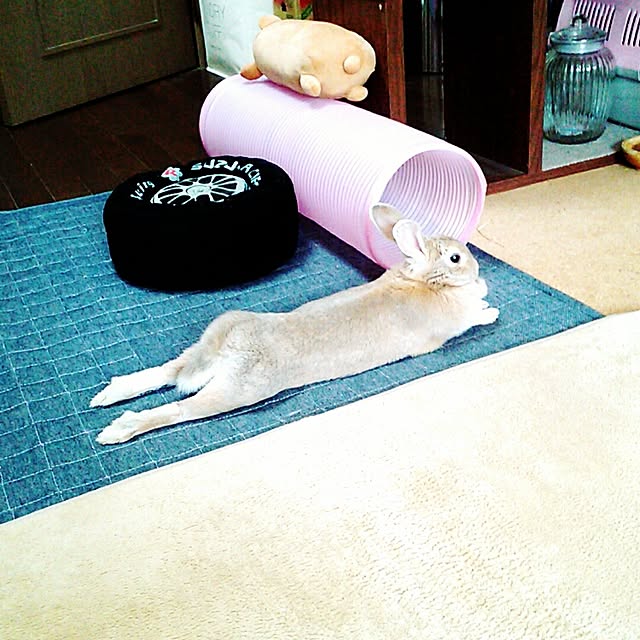 sachiko283さんの実例写真
