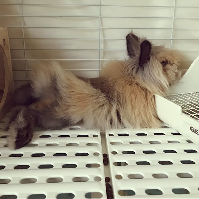 mさんの実例写真