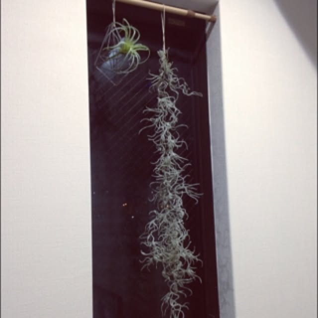 hanasakuさんの実例写真