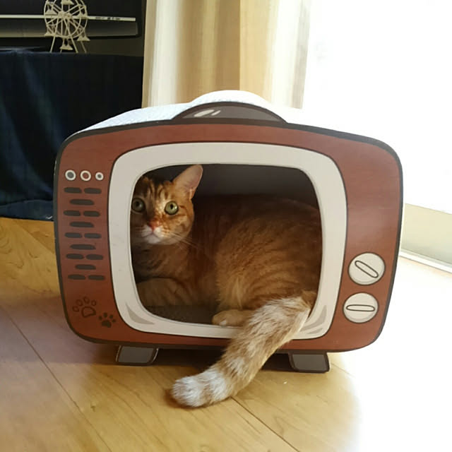 mayutan.さんの実例写真