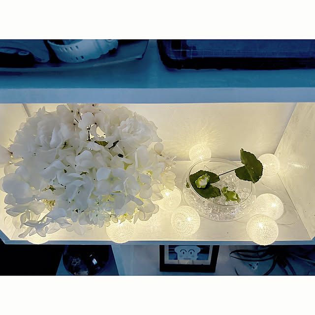 hanahana1444さんの部屋