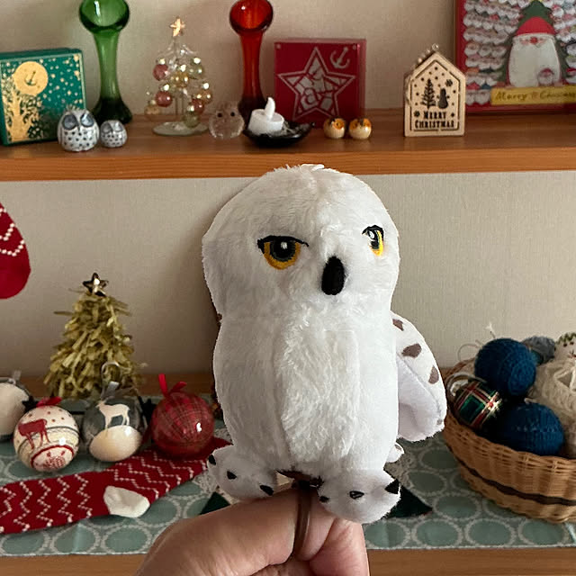 chiiyanさんの部屋