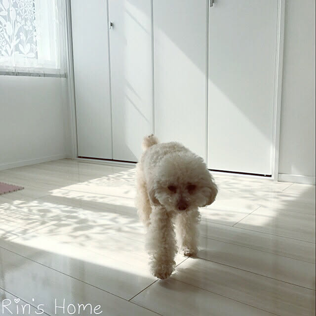 Rinさんの実例写真
