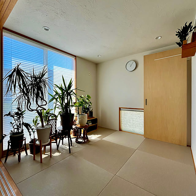 tamabaka1971さんの部屋