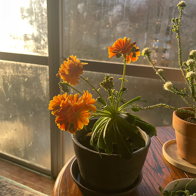 shin0719さんの部屋