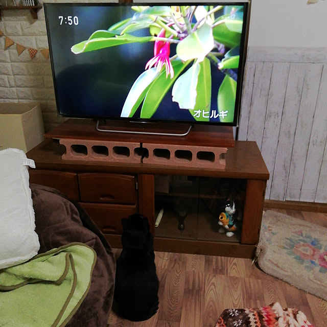 Tomopさんの実例写真