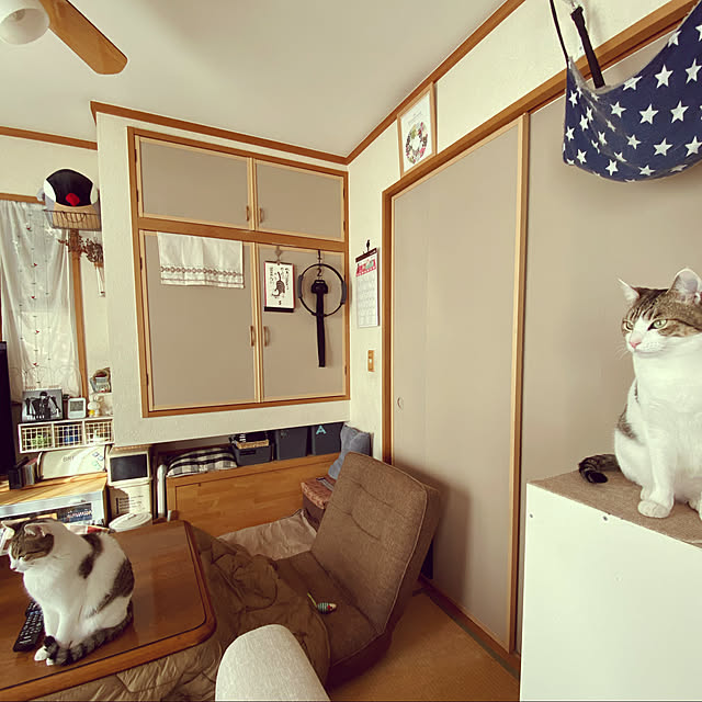 Lufuさんの実例写真