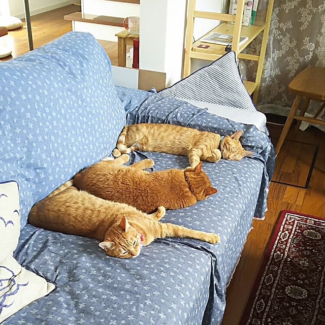 37さんの部屋