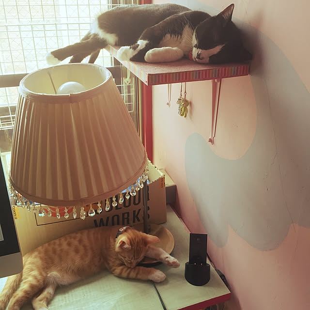 kimishigureさんの実例写真