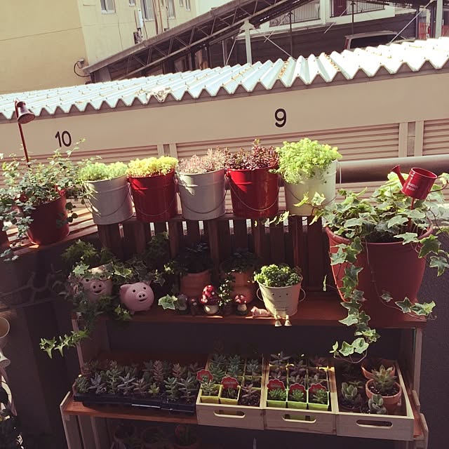 aksさんの実例写真